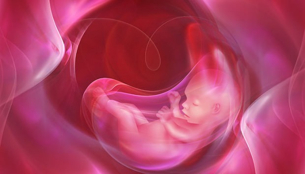 Mikä on Placenta Previa? Kuinka tehdä napanuoran hoito vauvoille? Jos napanuora on pitkä ...