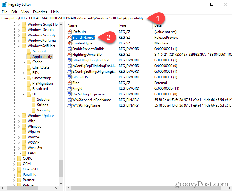 Kaksoisnapsauta BranchName-avainta Windowsin rekisterissä