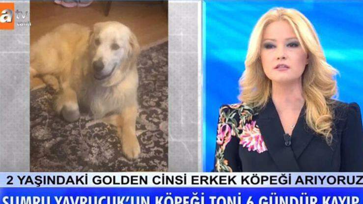 Juontaja Müge Anlı ilmoitti: Näyttelijä Sumru Yavrucukin koira löydettiin ...