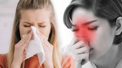 Mikä on allerginen nuha? Mitkä ovat allergisen nuhan oireet? Onko allergiseen nuhaan olemassa hoitoa?