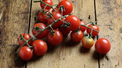 Kuinka estää tomaattien mätää? Kuinka estää tomaatti koi? 