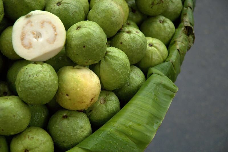 kypsymätön guavanin hedelmä 