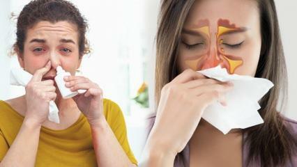 Mikä on hyvä nenän tukkoisuuteen? Lääkkeetön ratkaisu nenän tukkoisuuteen!