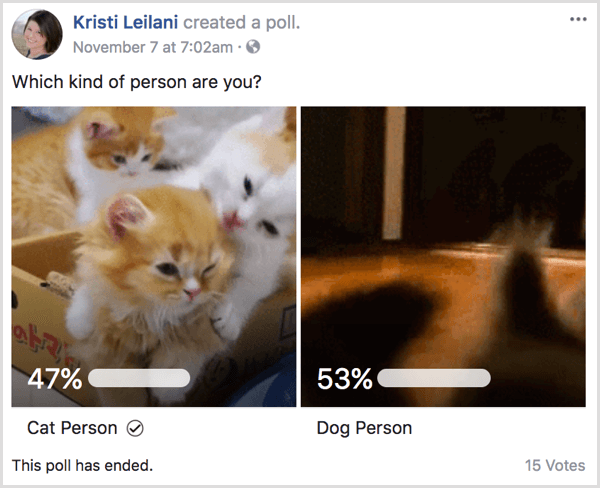 Facebook-gif-kyselyn tulokset