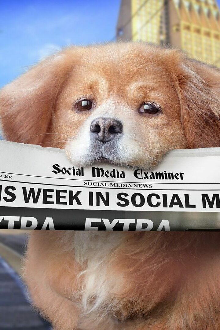 Facebook Live julkaisee yleisökohdistamisen: tällä viikolla sosiaalisessa mediassa: sosiaalisen median tutkija