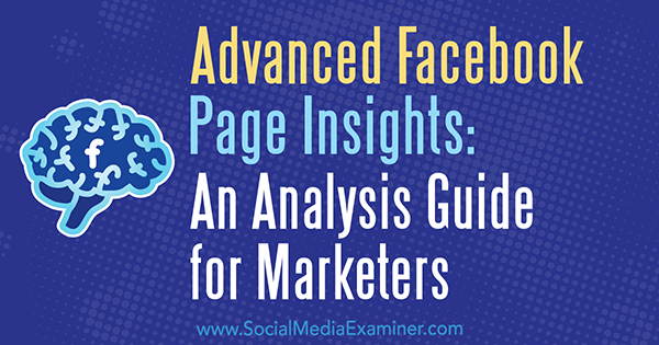 Advanced Facebook Page Insights: Jill Holtzin analyysiopas markkinoijille sosiaalisen median tutkijasta.