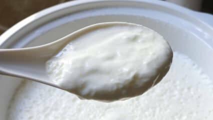 Mikä on helppo tapa valmistaa jogurttia? Jogurtin valmistus kuin kivi kotona! Kotijogurtin etu