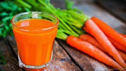 Porkkana ruokavalio, joka tuottaa 5 kiloa viikossa