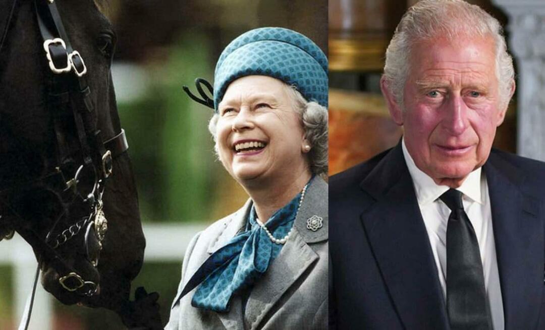 Kuningas III. Kuningatar Kaarle II Epäkunnioitus Elizabethin perintöä kohtaan! Voittaja myy hevoset