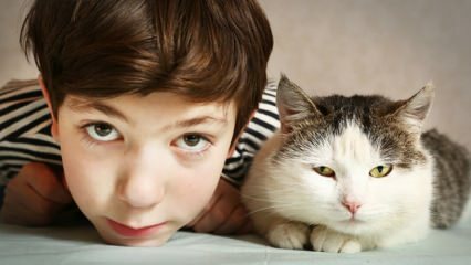 Mikä on lemmikkieläinten vaikutus lapsiin?