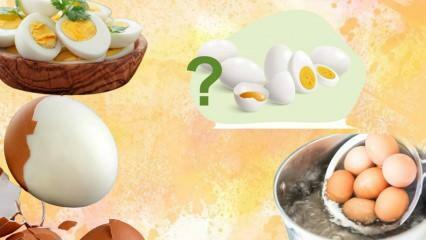 Keitetyn munan ruokavalio! Pitääkö muna kylläisenä? 12 kiloa viikossa 