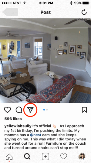 Jos Nest halusi ottaa yhteyttä tälle Instagram-käyttäjälle luvan käyttää heidän sisältöään, hän voi aloittaa viestinnän napauttamalla suoran viestin kuvaketta.