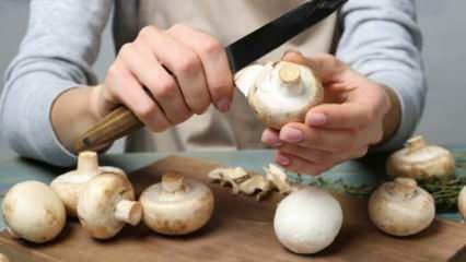 Miten sienet kuoritaan? Kuinka estää sienen mustuminen, mitkä ovat temppuja