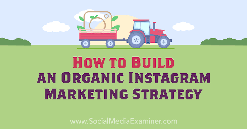 Corinna Keefen luoma orgaaninen Instagram -markkinointistrategia sosiaalisen median tutkijalla.