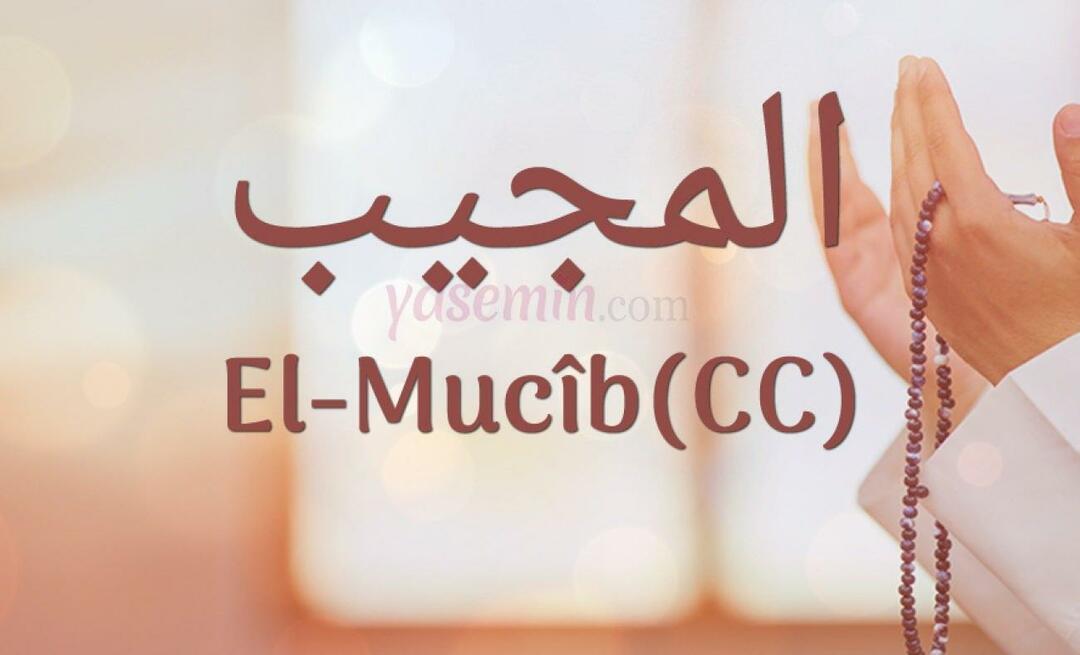 Mitä Al-Mujib (cc) Esma-ul Husnasta tarkoittaa? Miksi Al-Mujibin dhikr suoritetaan?