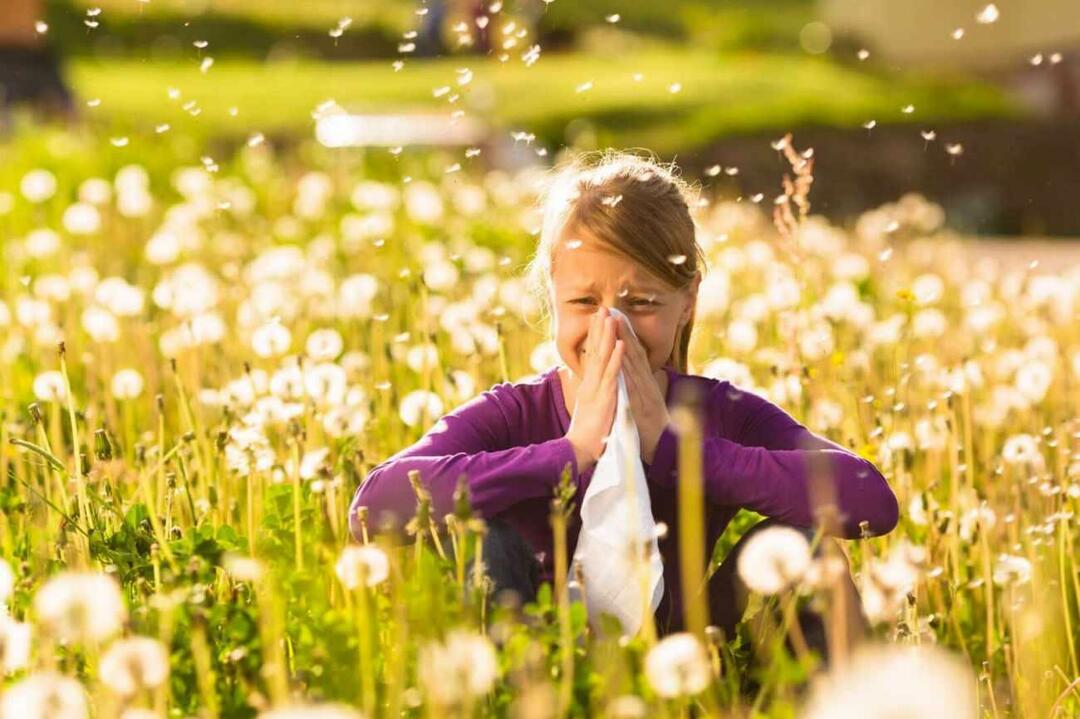 Mitä tulee ottaa huomioon lasten suojelemiseksi kausiluonteisilta allergioilta