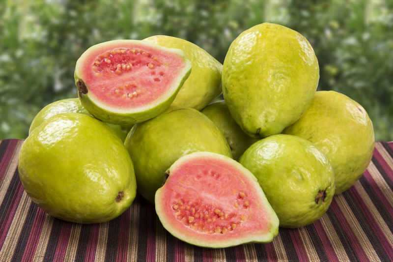 guavanin hedelmät kulkevat mansikkana 