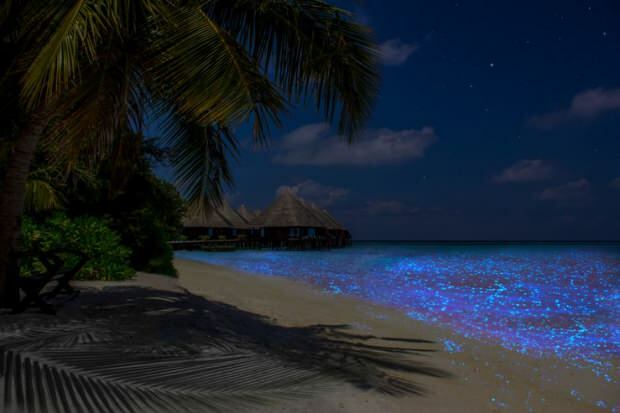 Malediivit Vaadhoo Island