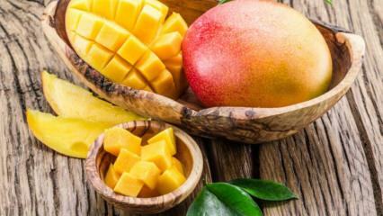 Mitkä ovat Mangon edut? Mihin sairauksiin mangot ovat hyviä? Mitä tapahtuu, jos kulutat säännöllisiä mangoja?