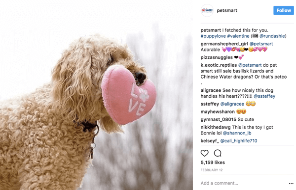 Kun PetSmart jakaa käyttäjäkuvia uudelleen Instagramissa, he antavat valokuvahyväksynnän alkuperäiselle julisteelle.