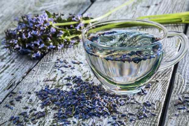 Mitä hyötyä laventelista on? Mitä laventeli tee tekee? Missä laventeliöljyä käytetään?