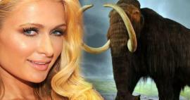 Paris Hilton sijoitti rahansa mammutteihin! 