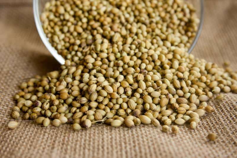 Mitä hyötyä korianterin siemenistä on? Kuinka käyttää korianteria? Mitä korianteriöljy tekee?