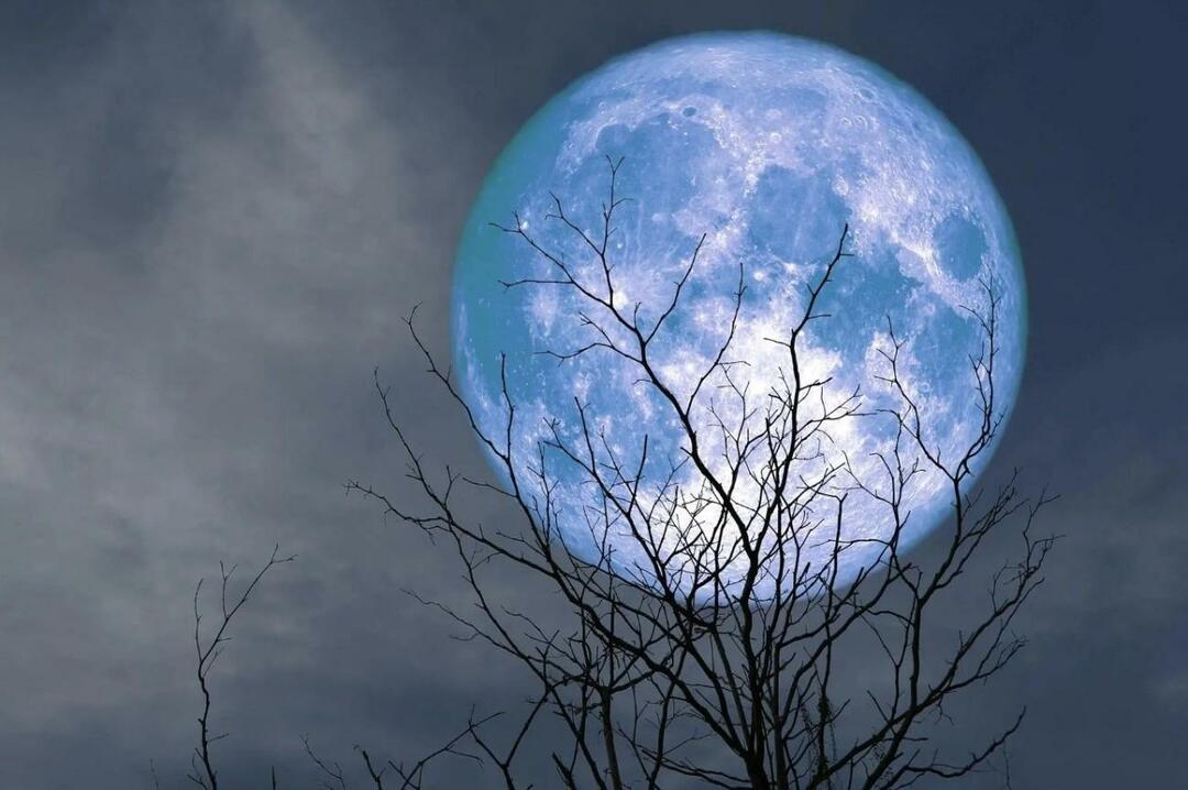 Mikä on Blue Moon