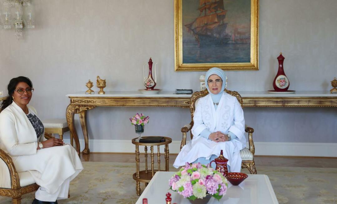 Ensimmäinen nainen Erdoğan tapasi Malcolm X: n tyttären İlyasa Şahbazin