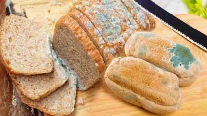 Kuinka estää leivän homehtuminen Ramadanissa? Tapoja estää leivän vanheneminen ja homehtuminen