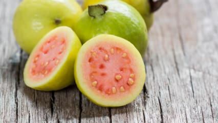 Mikä on Guava-hedelmä? Mitkä ovat edut?