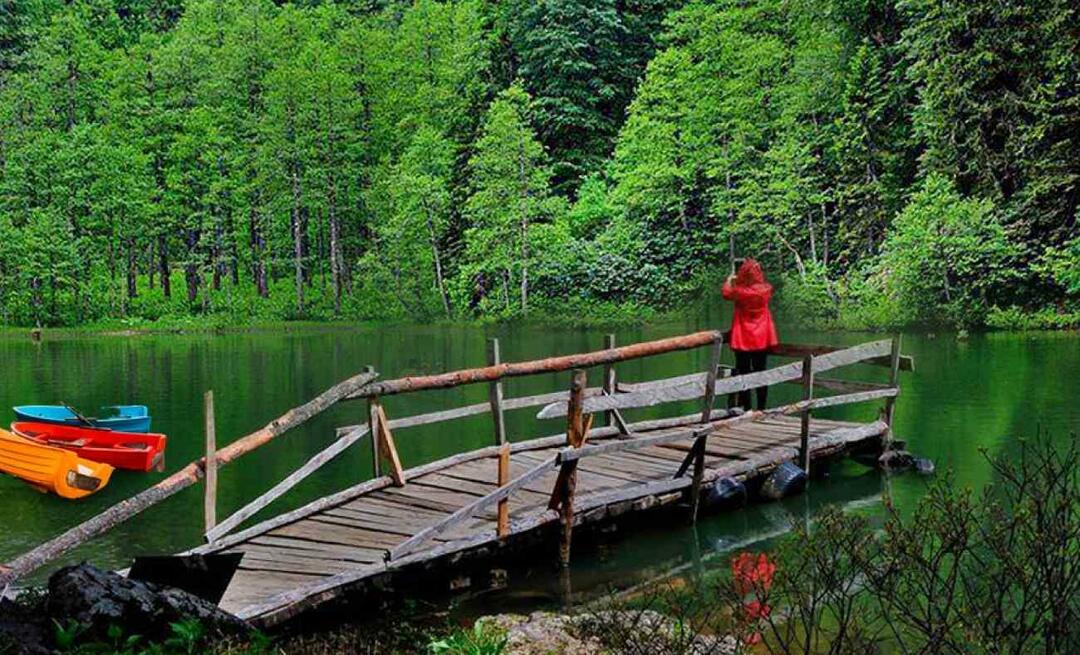 Missä Artvin on? Minne mennä Artvinissa? Mitkä kohteet ovat näkemisen arvoisia kohteessa Artvin?