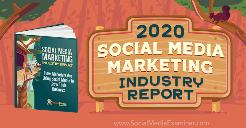 Michael Stelznerin sosiaalisen median markkinointiteollisuuden raportti vuodelta 2020 sosiaalisen median tutkijasta.