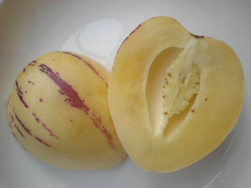pepinohedelmät viipaloidaan kuten meloni kuvana