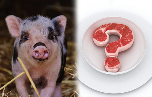 Onko sianlihan syöminen kiellettyä?