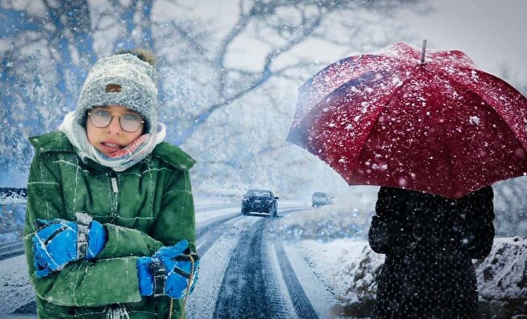 Mikä on La Ninan talvi? Milloin La Ninan talvi alkaa? Milloin sataa lunta?