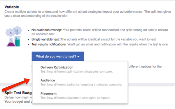 Valitse testattava muuttuja Facebook-kampanjassa.