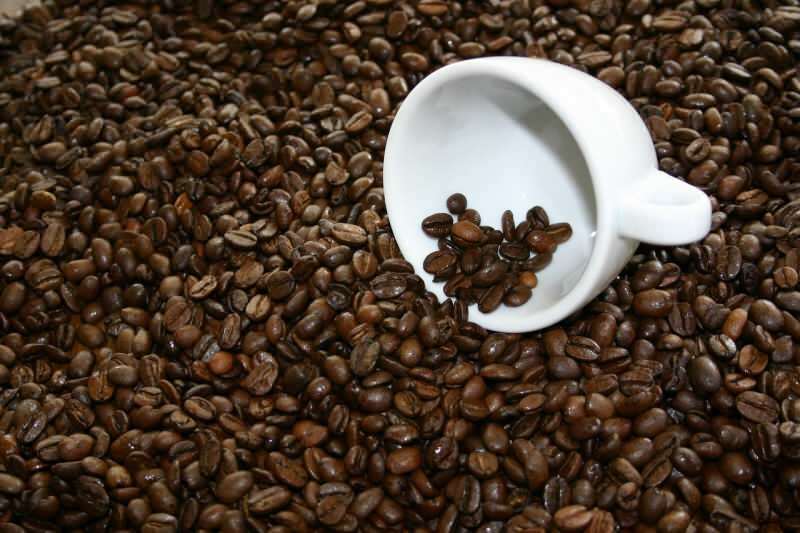 Mistä ostaa laadukkaita kahvipapuja