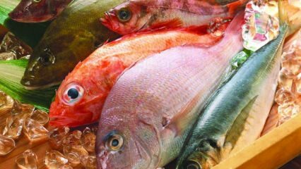 Kalojen vaikutukset immuniteettiin! Mitä hyötyä kalasta on? Kuinka kuluttaa terveellisimpiä kaloja?