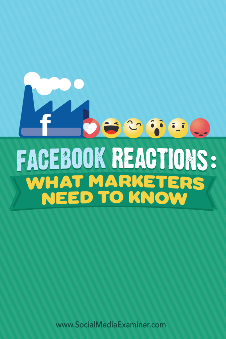 Facebookin reaktiot: Mitä markkinoijien on tiedettävä: sosiaalisen median tutkija