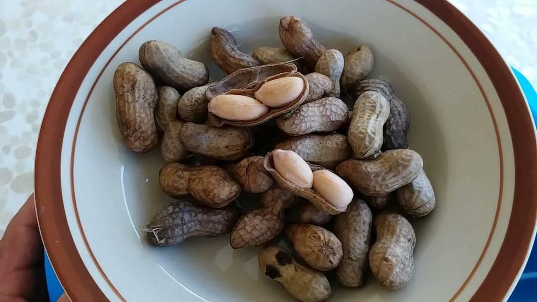 Keitetyt maapähkinät 