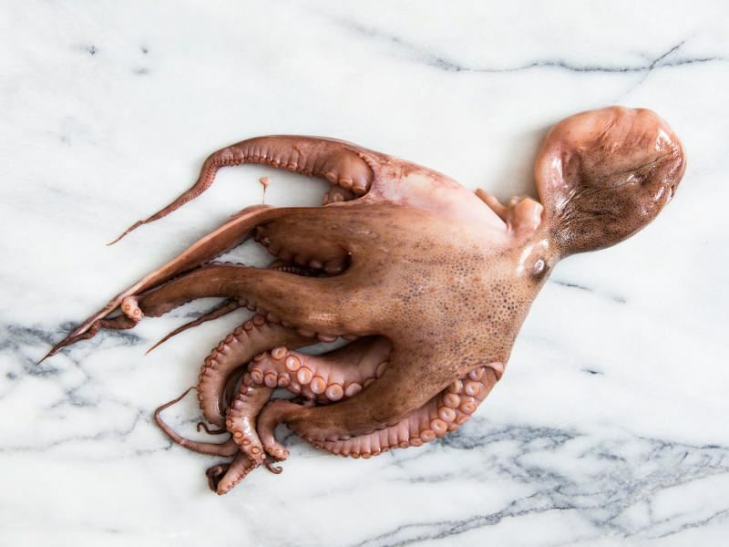 Kuinka puhdistaa ja keittää mustekala kotona? Helpoin mustekalan keitto tekniikka