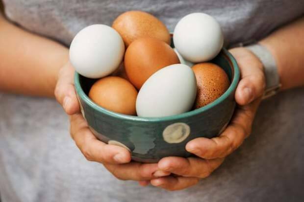 Kuinka orgaaninen muna-analyysi tehdään?