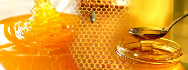 pitäisikö lapsille antaa hunajaa?