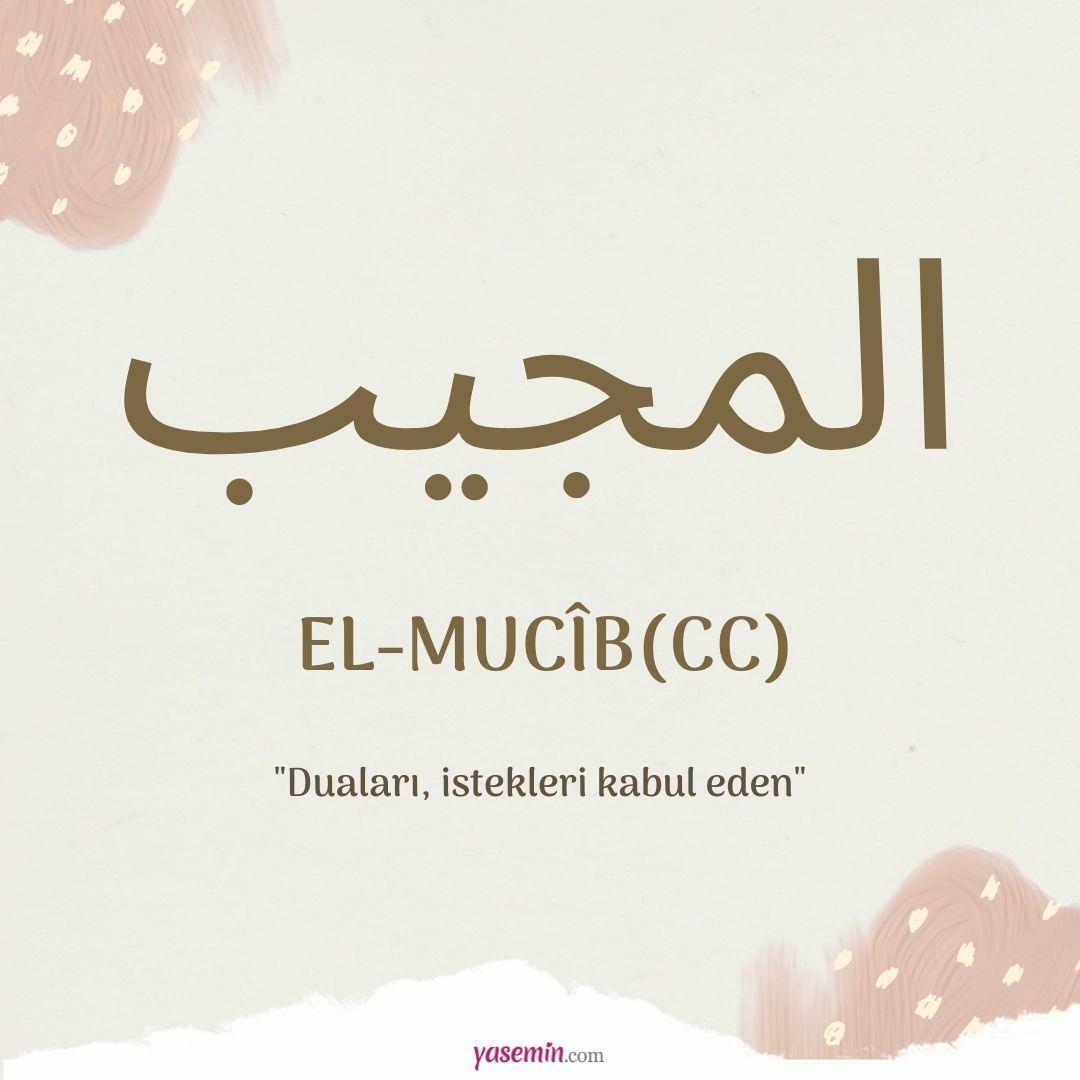Mitä al-Mujib (cc) tarkoittaa?