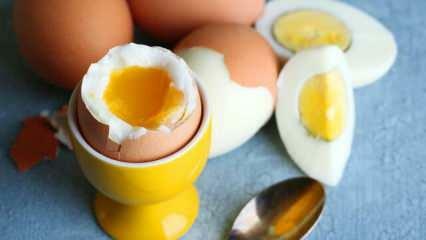 Mitä vaikutuksia 2 kananmunan syömisellä sahurissa päivittäin on kehoon?