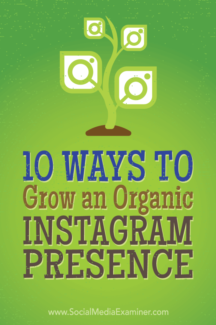 10 tapaa kasvattaa orgaanista Instagram-läsnäoloa: Sosiaalisen median tutkija