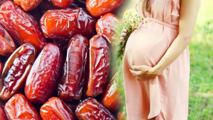 Mikä on palmasokeri? Syömispäivämäärien hyödyt raskauden aikana ja palmasokerin kulutus ...