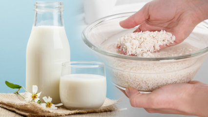Kuinka valmistaa rasvaa polttava riisimaito? Laihdutusmenetelmä riisimaidolla