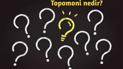 Mikä on topomonia, mitä se tutkii? Mitkä ovat topomonisen tieteen edut? 